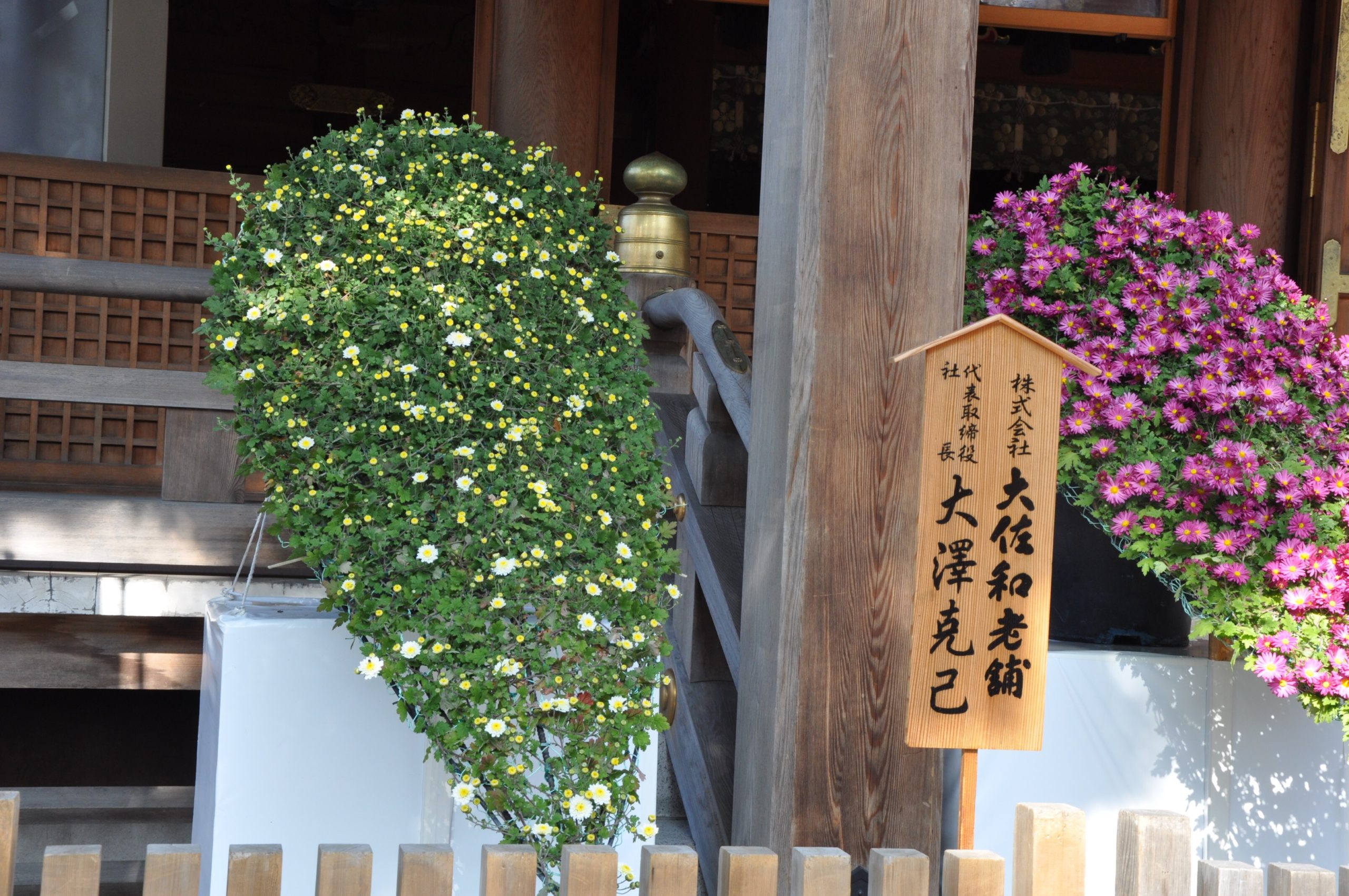 「湯島天神菊まつり」　令和3年11月1日（月）～11月22日（月）